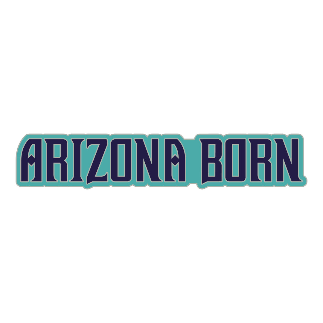 Arizona Diamondbacks 2025 City Connect Arizona Born Pin