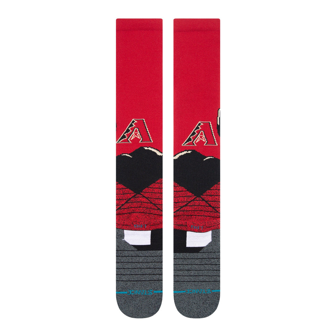 Arizona Diamondbacks Desert Landscape OTC Socks - LARGE