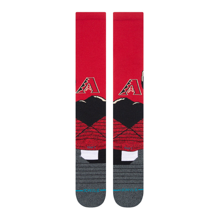Arizona Diamondbacks Desert Landscape OTC Socks - LARGE