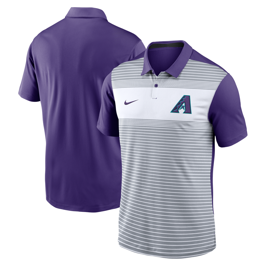 Arizona Diamondbacks Nike Men's 2025 City Connect Fashion Icon Polo