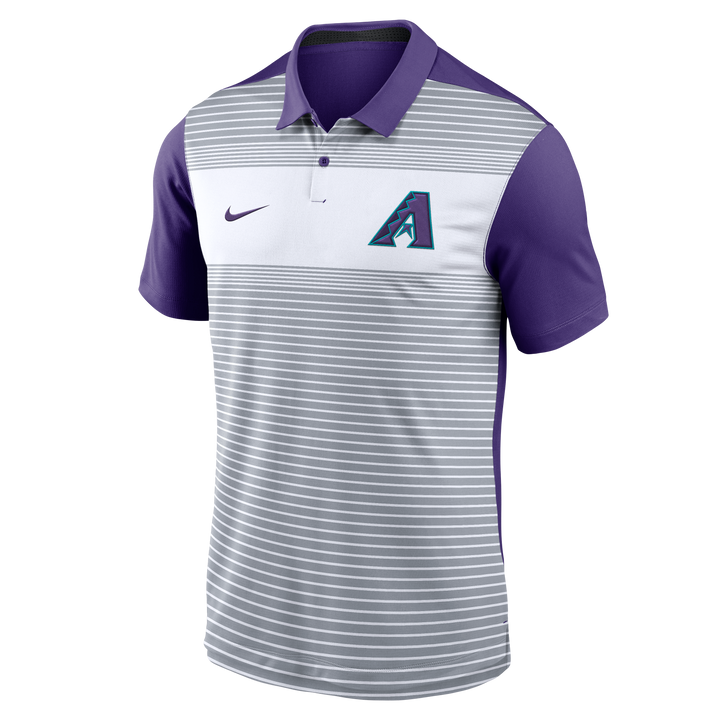 Arizona Diamondbacks Nike Men's 2025 City Connect Fashion Icon Polo