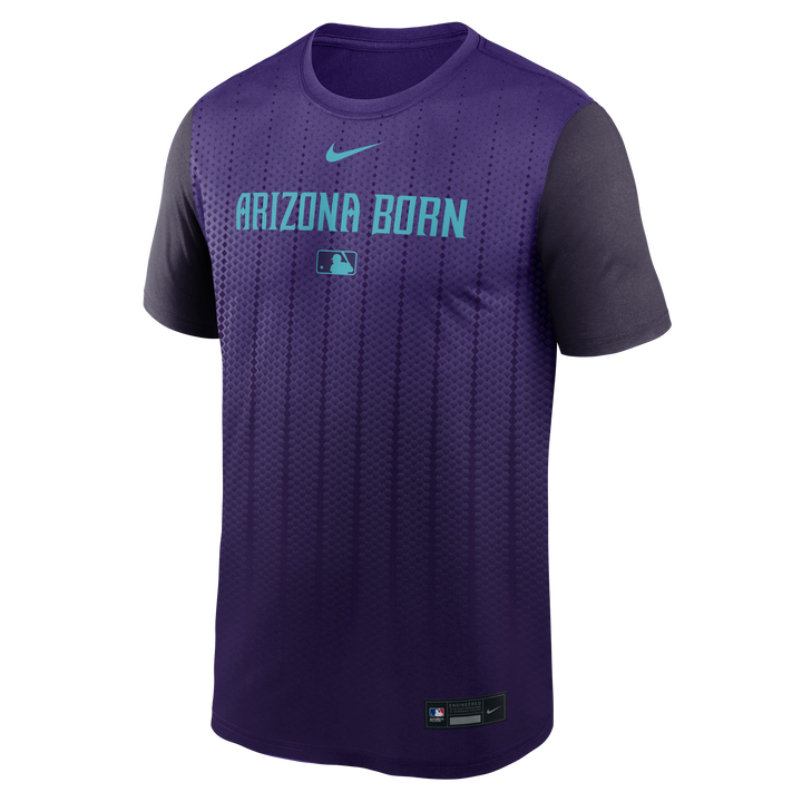 Arizona Diamondbacks Nike 2025 City Connect Legend Tee