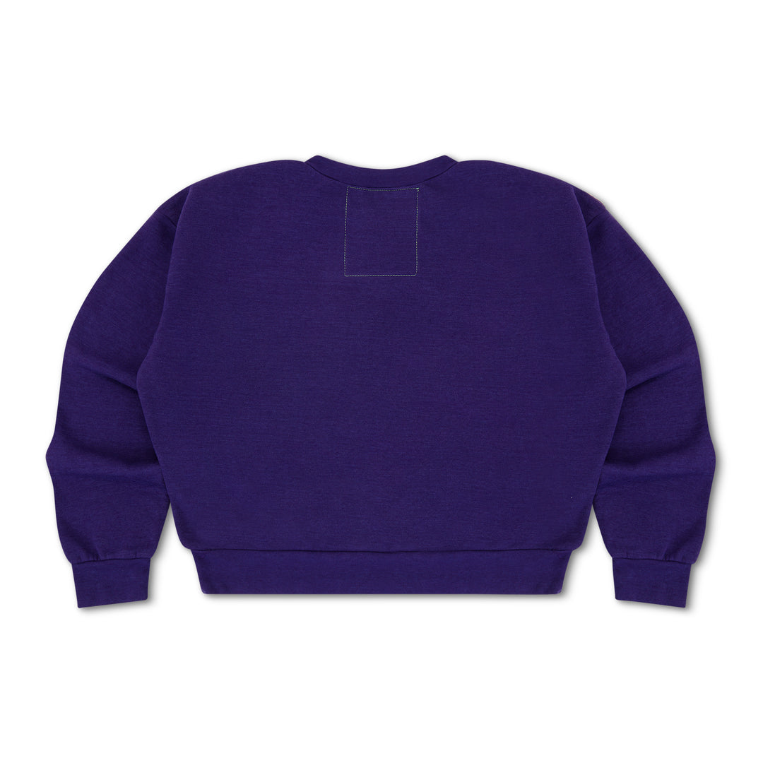 Arizona Diamondbacks X Aviator Nation Logo Sweatshirt