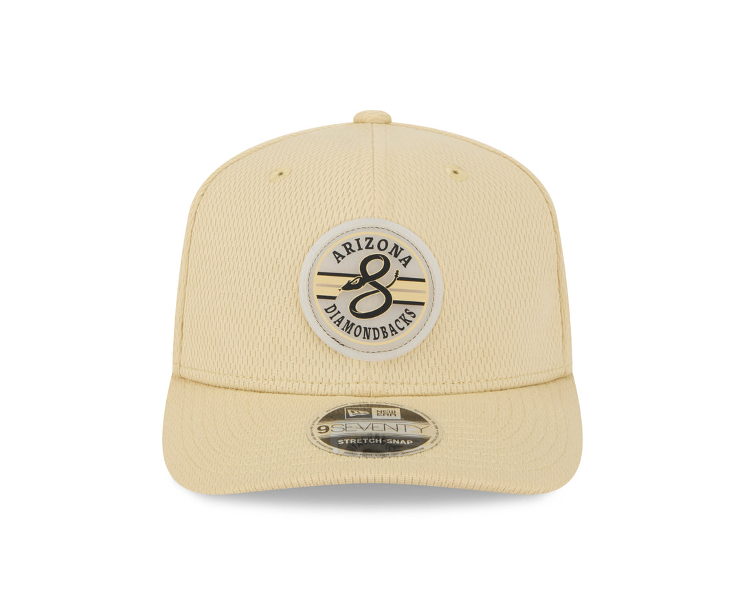 Arizona Diamondbacks Men's New Era Patched City Adjustable Cap