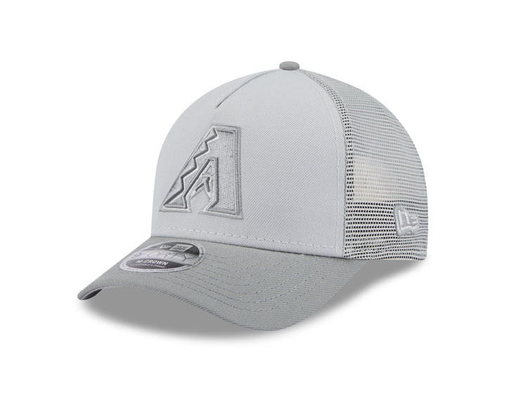 Arizona Diamondbacks Men's New Era Tonal Color Pack Adjustable Cap