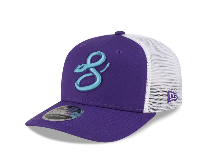 Arizona Diamondbacks 2025 City Connect Alt - 970 Cap