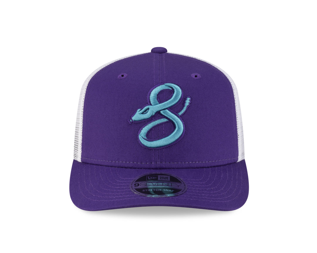 Arizona Diamondbacks 2025 City Connect Alt - 970 Cap