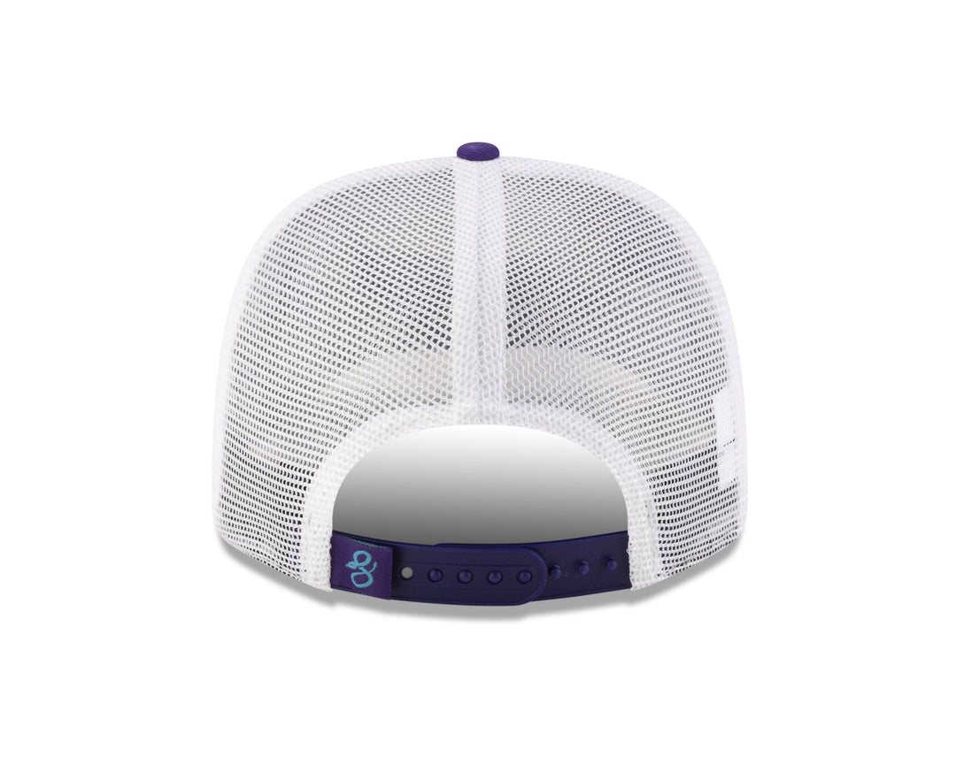 Arizona Diamondbacks 2025 City Connect Alt - 970 Cap