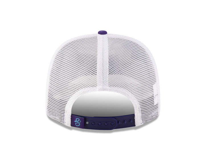 Arizona Diamondbacks 2025 City Connect Alt - 970 Cap