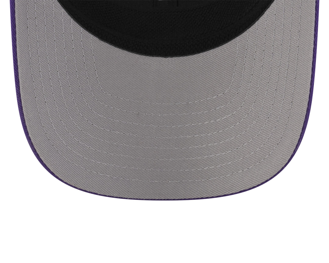 Arizona Diamondbacks 2025 City Connect Alt - 970 Cap