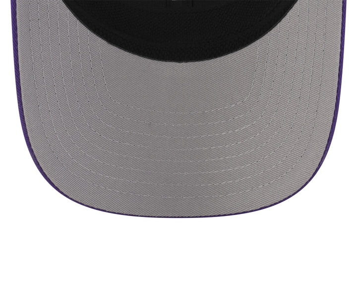 Arizona Diamondbacks 2025 City Connect Alt - 970 Cap
