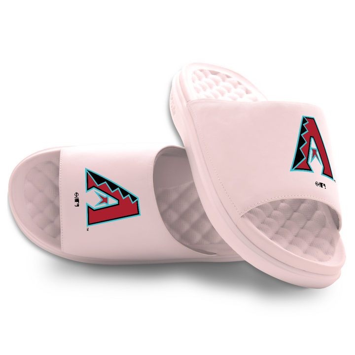 Arizona Diamondbacks Primary Motive Slides