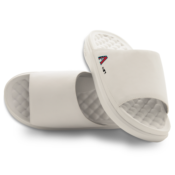 Arizona Diamondbacks Minimalistic Motive Slides