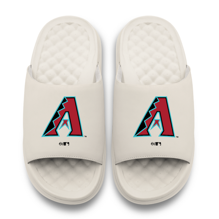 Arizona Diamondbacks Primary Motive Slides