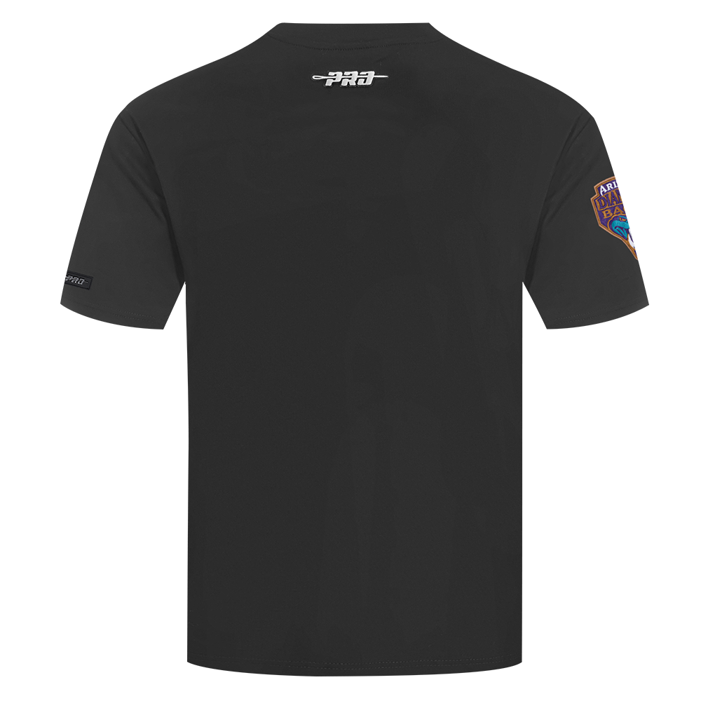 Arizona Diamondbacks Men's Pro Standard Cascade Elevation Tee