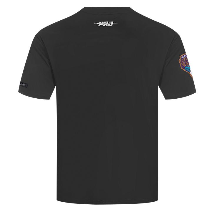Arizona Diamondbacks Men's Pro Standard Cascade Elevation Tee