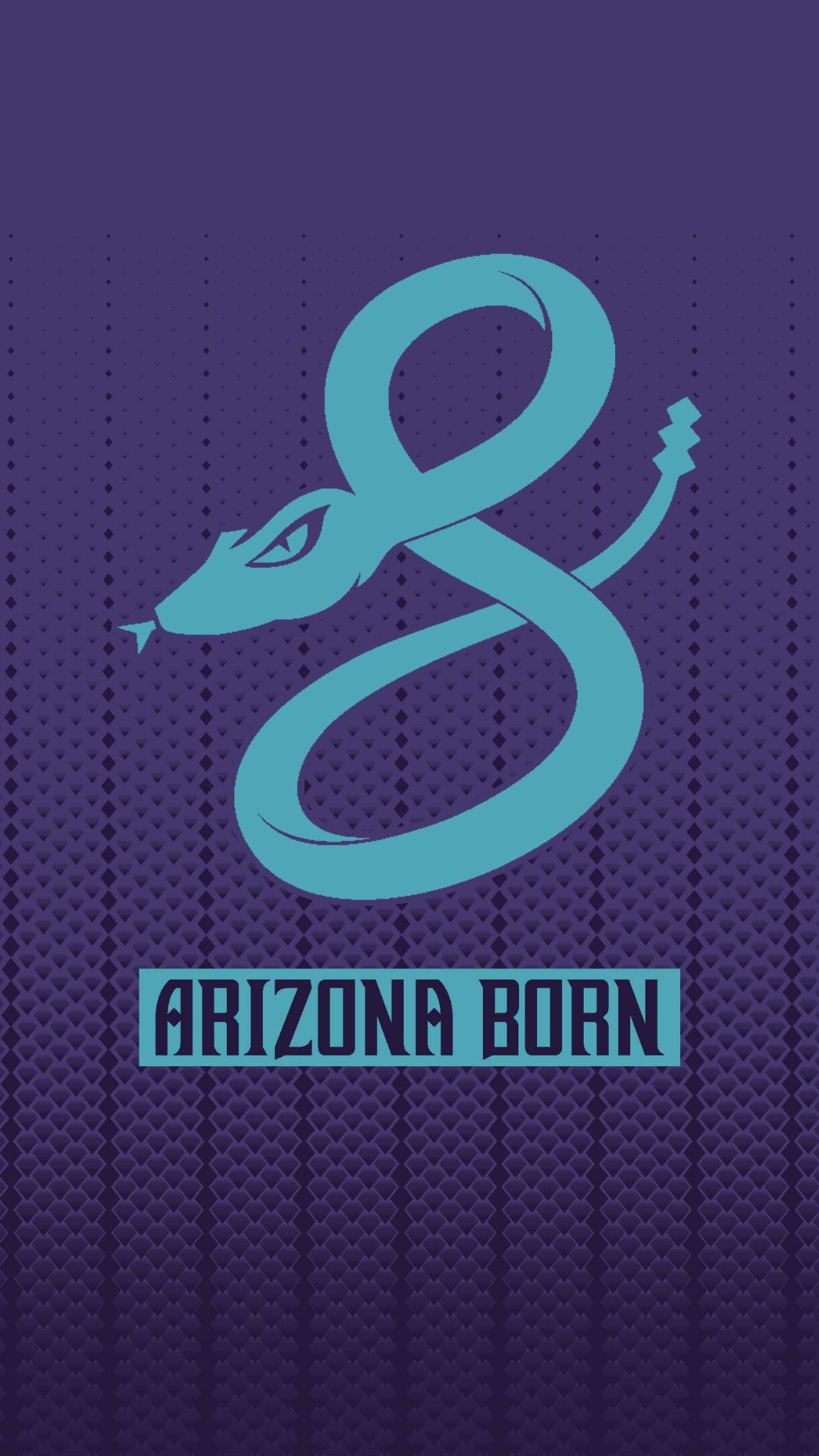 City Connect 2025 – Rattle Republic