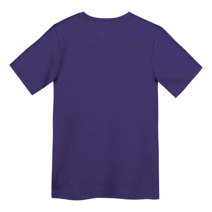 Arizona Diamondbacks Nike 2025 City Connect Wordmark Junior Tee