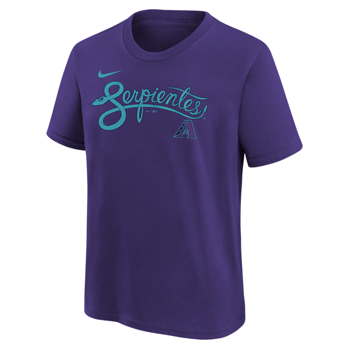 Arizona Diamondbacks Nike 2025 City Connect Wordmark Youth Tee