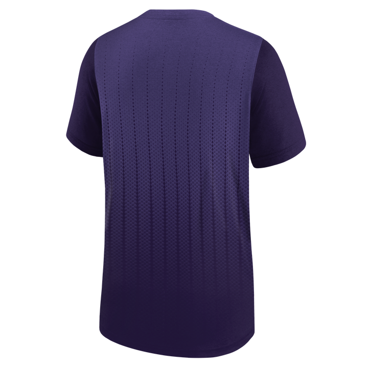 Arizona Diamondbacks Nike 2025 City Connect Legend Youth Tee