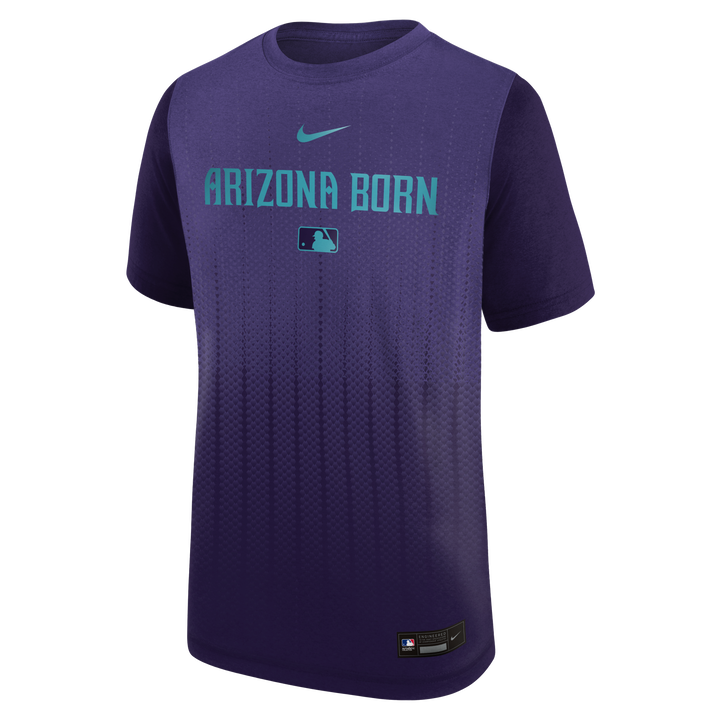 Arizona Diamondbacks Nike 2025 City Connect Legend Youth Tee