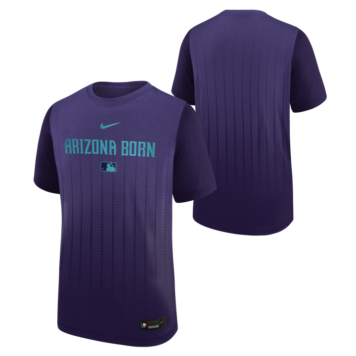 Arizona Diamondbacks Nike 2025 City Connect Legend Youth Tee