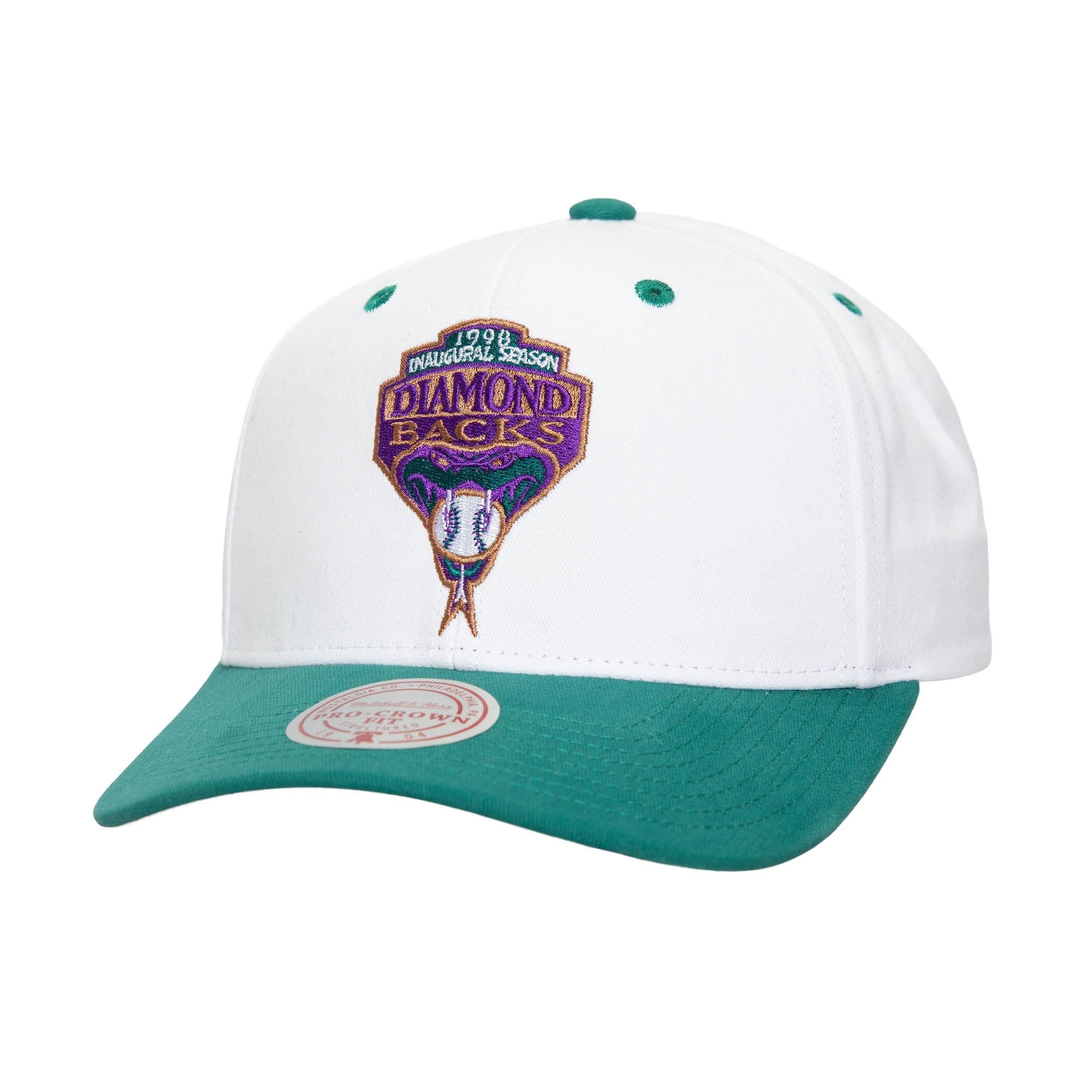 Arizona Diamondbacks Men's Flipped Pro Adjustable Cap - Rattle