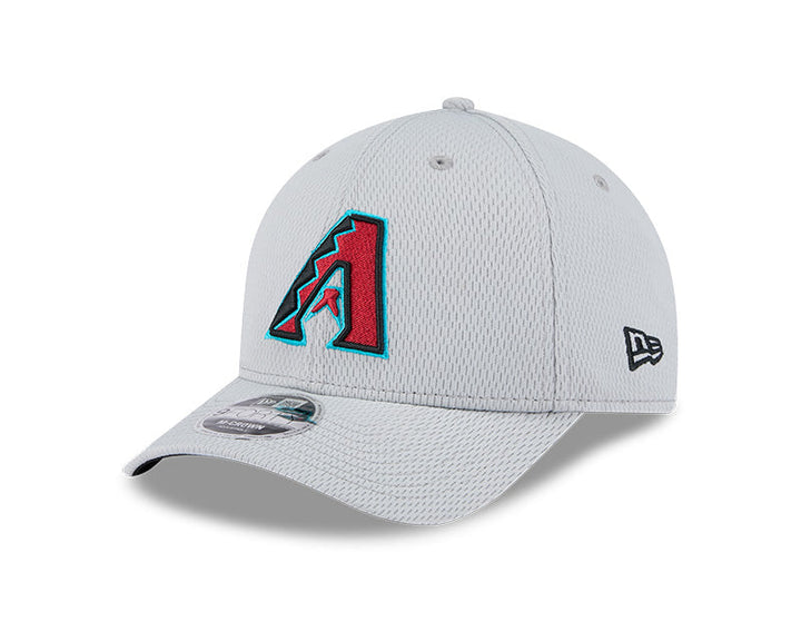 Arizona Diamondbacks New Era Men’s 2025 Clubhouse 940